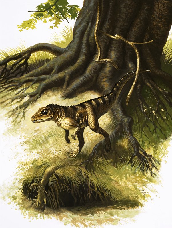 Onithosuchus tekijältä English School