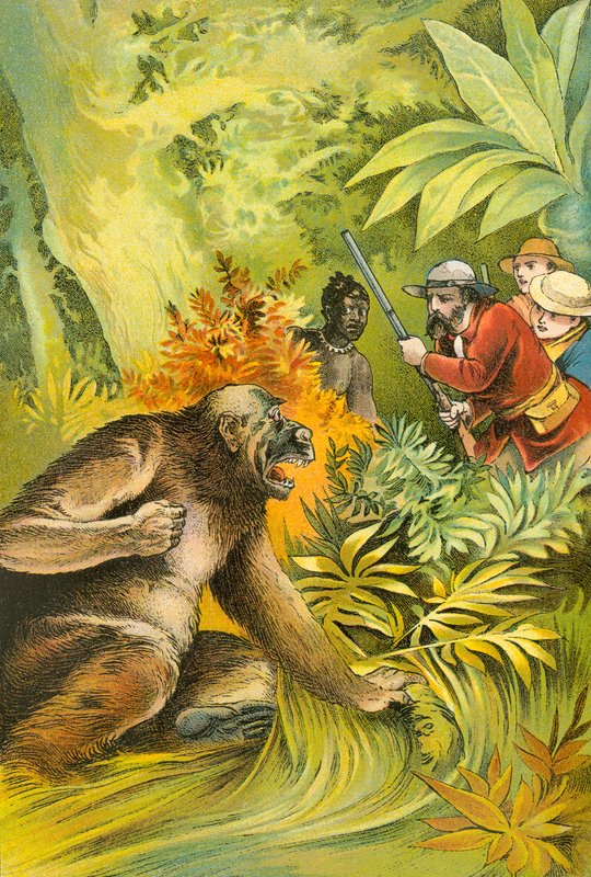 Ensimmäinen gorillamme tekijältä English School
