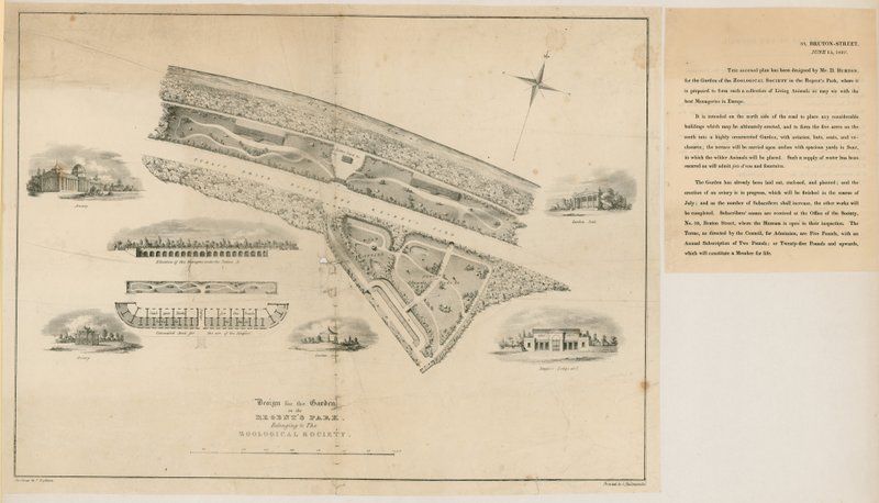 Suunnitelma eläintieteelliselle puutarhalle, Regents Park, 1827 tekijältä English School