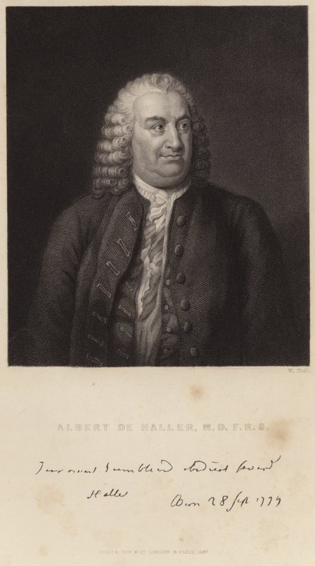 Albert de Hallerin muotokuva tekijältä English School