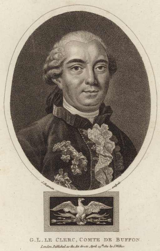 Buffonin kreivin Georges-Louis Leclercin muotokuva tekijältä English School
