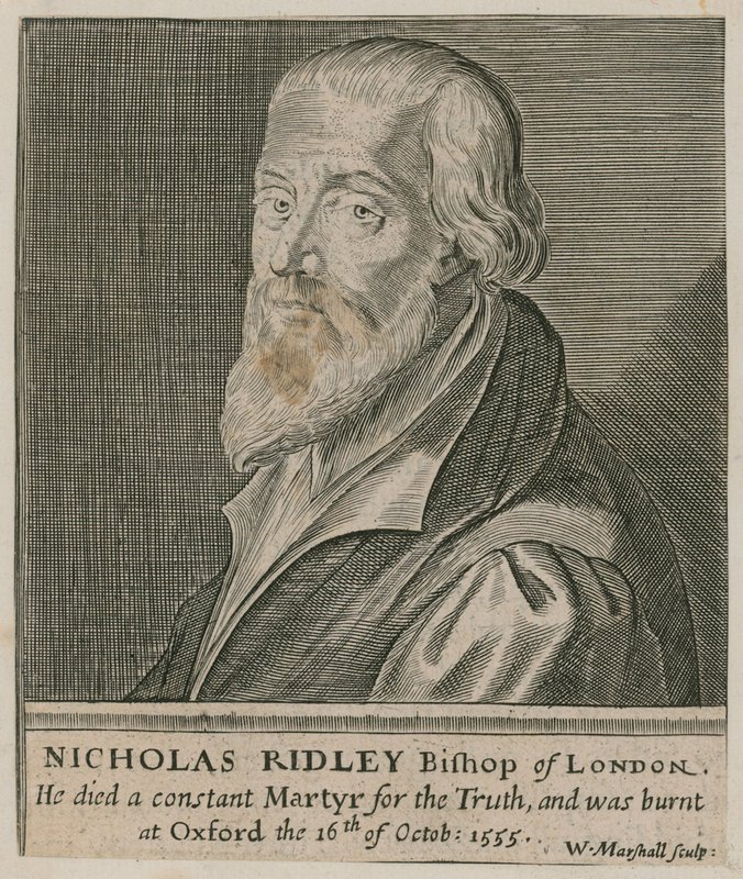 Nicholas Ridleyn muotokuva tekijältä English School