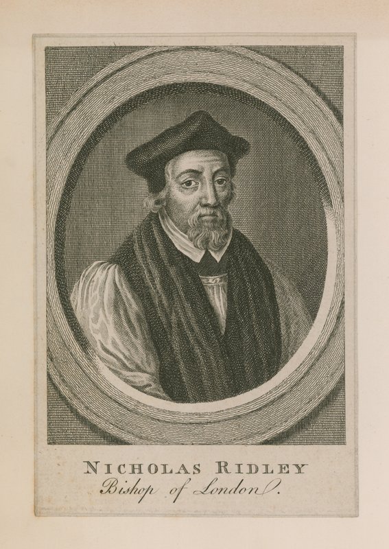 Nicholas Ridleyn muotokuva tekijältä English School