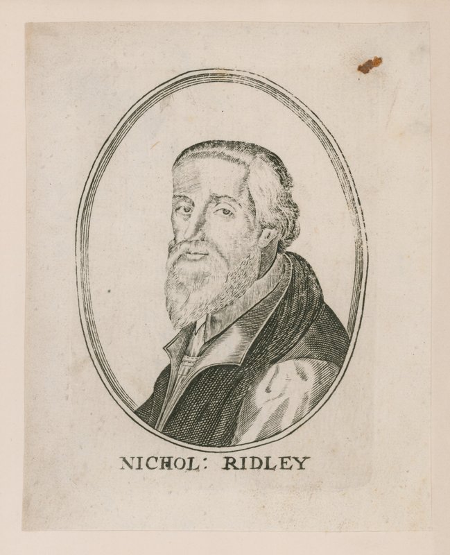 Nicholas Ridleyn muotokuva tekijältä English School