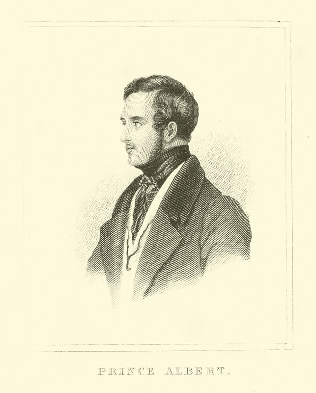 Prinssi Albert tekijältä English School