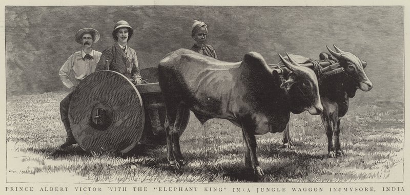 Prinssi Albert Victor "Elephant Kingin" kanssa Jungle Waggonissa Mysoressa, Intiassa (kaiverrus) tekijältä English School