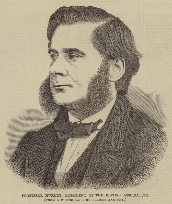 Professori Huxley, British Associationin puheenjohtaja (kaiverrus) tekijältä English School