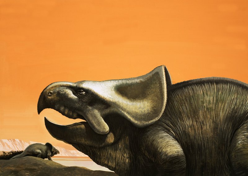 Protoceratops tekijältä English School