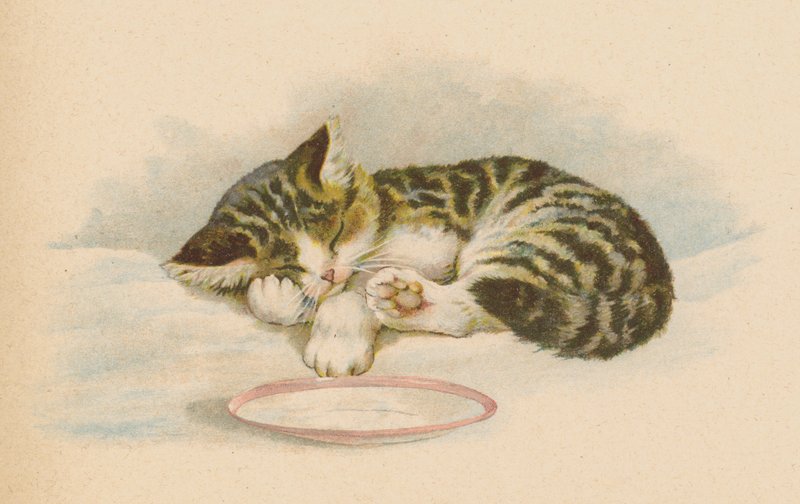 Pussy Cat (chromolitho) tekijältä English School