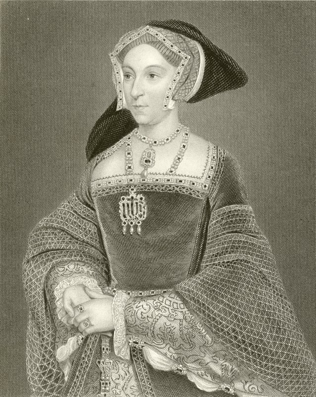 Kuningatar Jane Seymour tekijältä English School