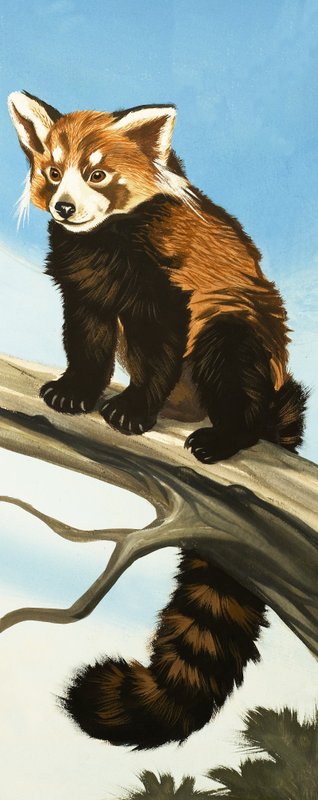 Pesukarhu tekijältä English School