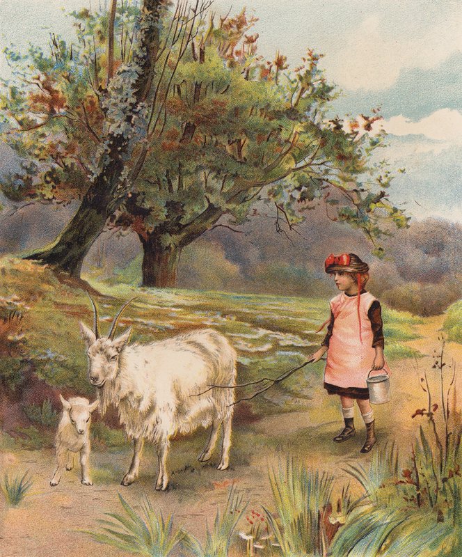 Kotiinpaluu (chromolitho) tekijältä English School