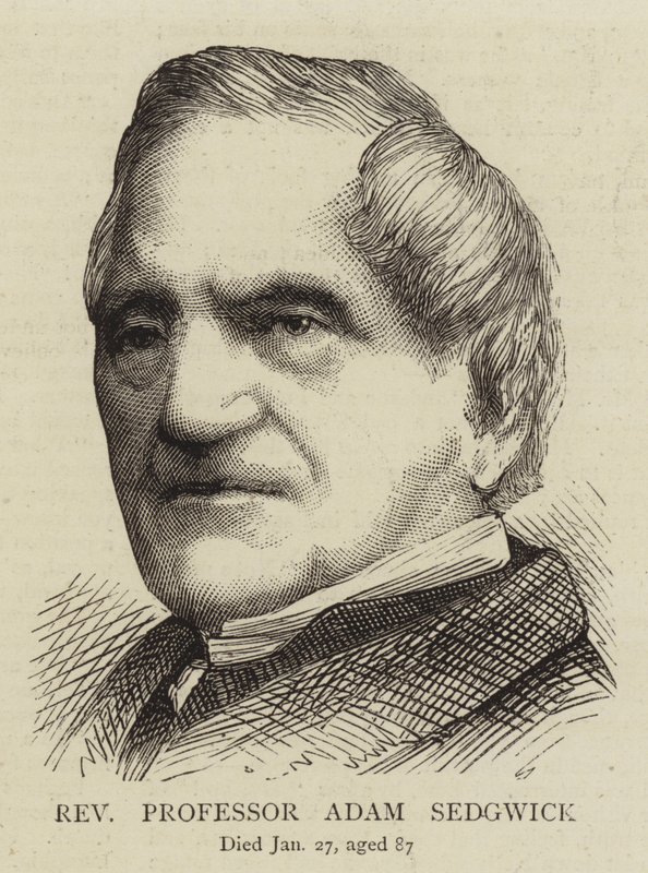 Pastori professori Adam Sedgwick (kaiverrus). tekijältä English School