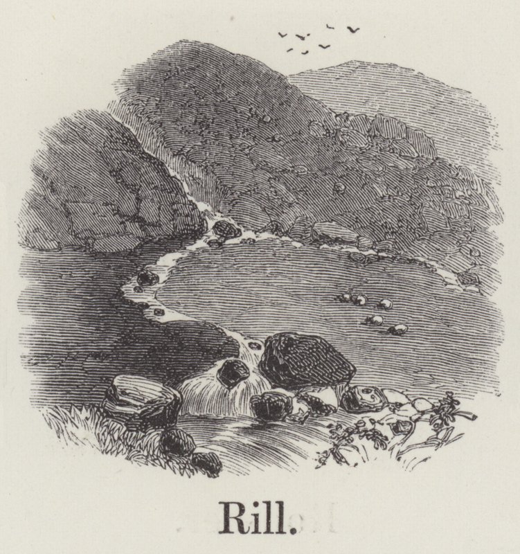 Rill (kaiverrus) tekijältä English School