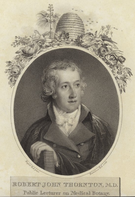 Robert John Thornton tekijältä English School