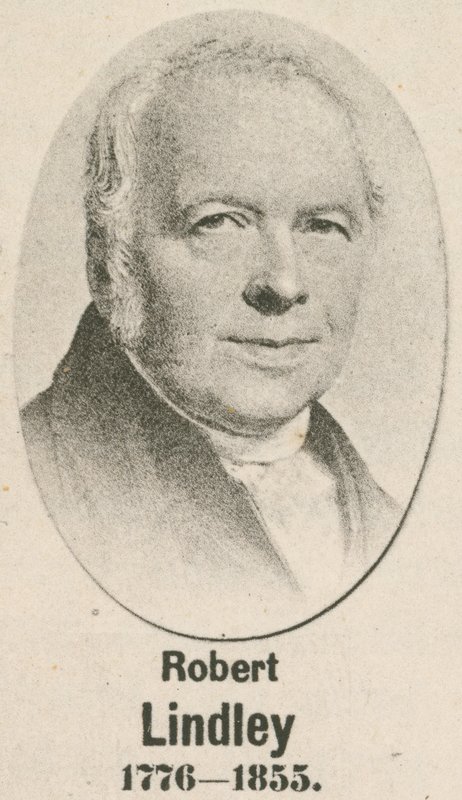 Robert Lindley (syväpaino) tekijältä English School