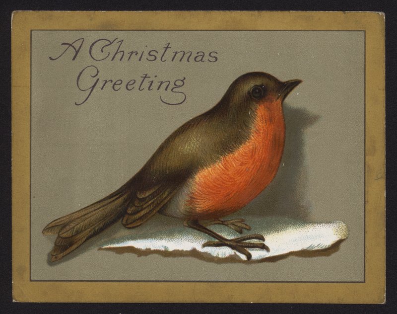 Robin (chromolitho) tekijältä English School