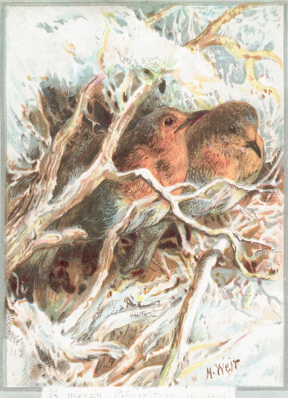 Robins istuu oksalla, joulukortti tekijältä English School