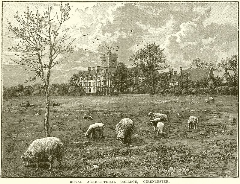 Royal Agricultural College, Cirencester tekijältä English School