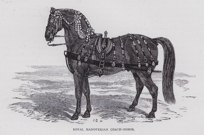 Royal Hanoverian Coach-Horse (kaiverrus) tekijältä English School