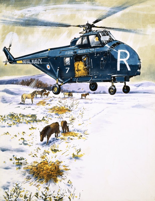 Kuninkaallisen laivaston helikopteri, jota käytetään eläinten pelastamiseen tekijältä English School