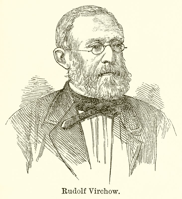 Rudolf Virchow tekijältä English School