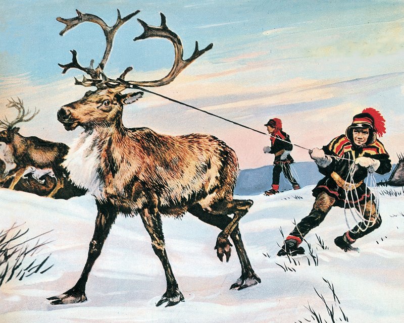 Rudolphin nenä ei ole koskaan punainen tekijältä English School