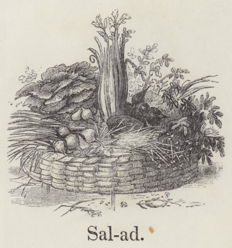 Salaatti (kaiverrus) tekijältä English School