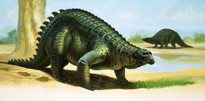 Scelidosaurus tekijältä English School