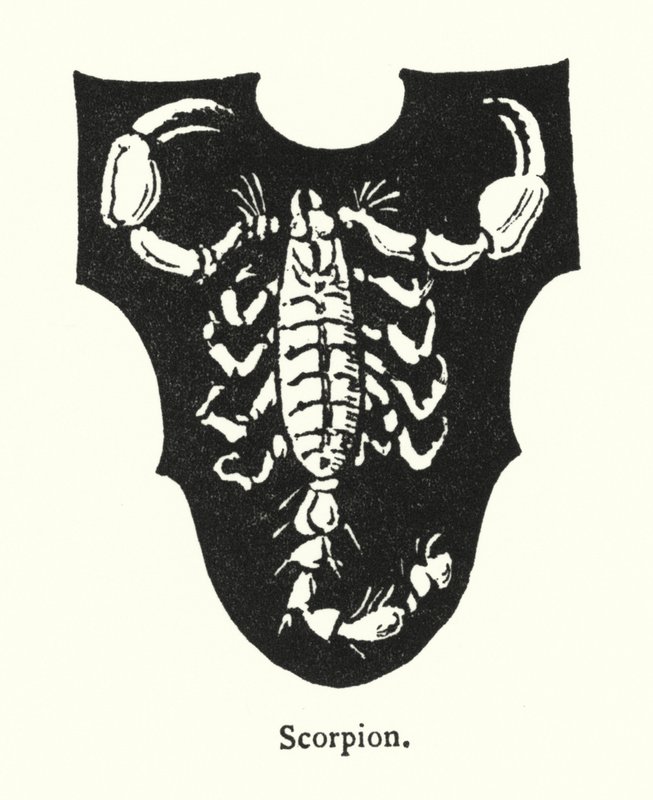 Scorpion (kaiverrus) tekijältä English School