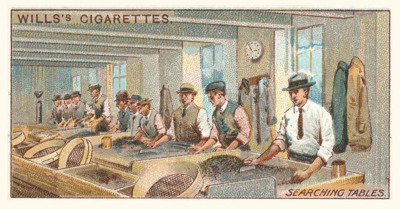 Hakutaulukot (chromolitho) tekijältä English School