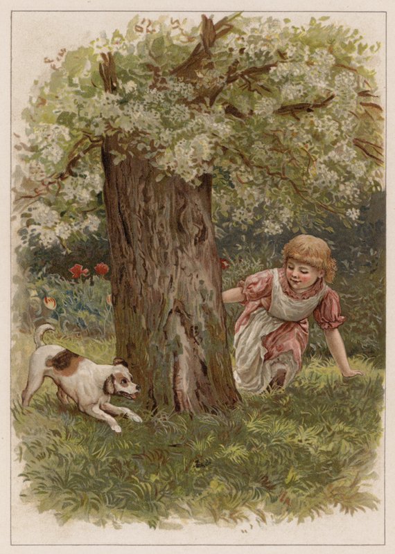 Shappy (chromolitho) tekijältä English School