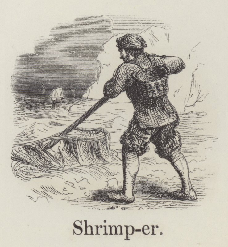 Shrimper (kaiverrus) tekijältä English School