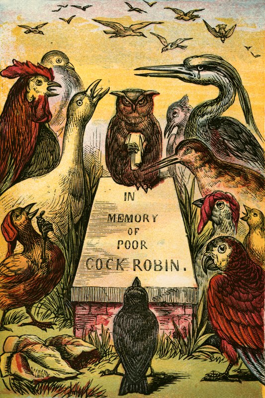 Huokaillen ja nyyhkyttäen Cock Robin-paran puolesta. tekijältä English School