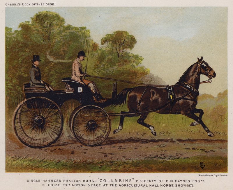 Yksivaljaat Phaeton Horse "Columbine", Charles Baynes Esq tekijältä English School