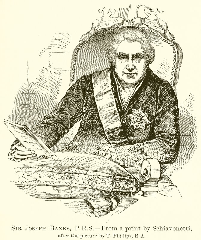 Sir Joseph Banks, P.R.S tekijältä English School