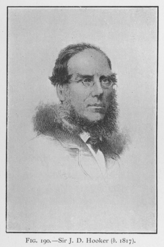 Sir Joseph Dalton Hooker (1817-1911), muotokuva (litho) tekijältä English School