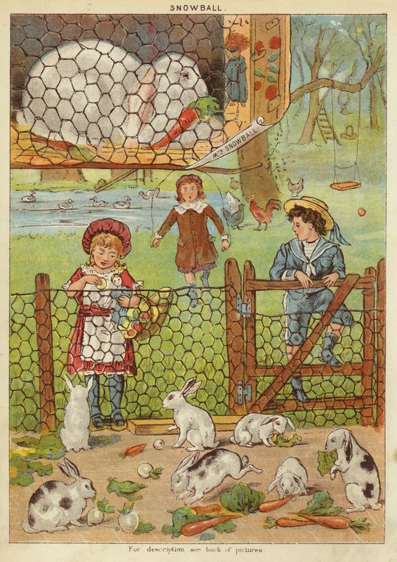 Lumipallo (chromolitho) tekijältä English School