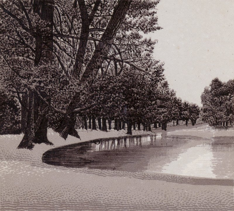 Sophia Gardens, Cardiff (litho) tekijältä English School