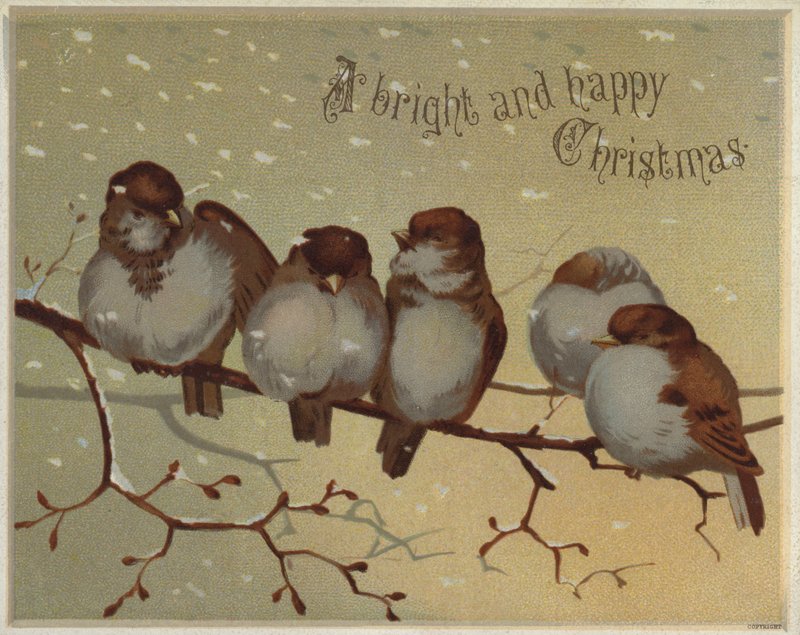 Varpuset istuvat oksalla lumessa (chromolitho) tekijältä English School