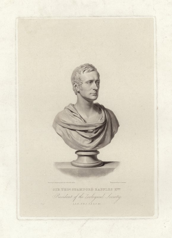 Stamford Raffles tekijältä English School