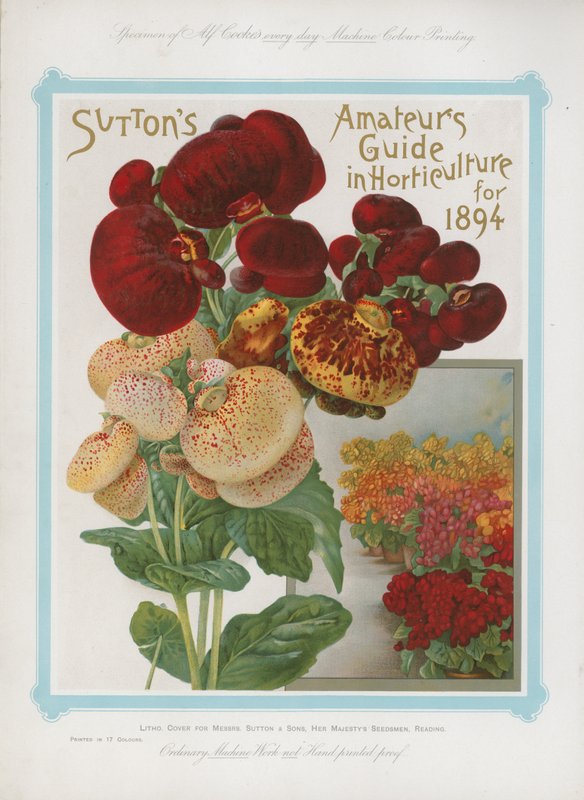Suttonsin amatööriopas puutarhataloudessa vuodelle 1894 tekijältä English School