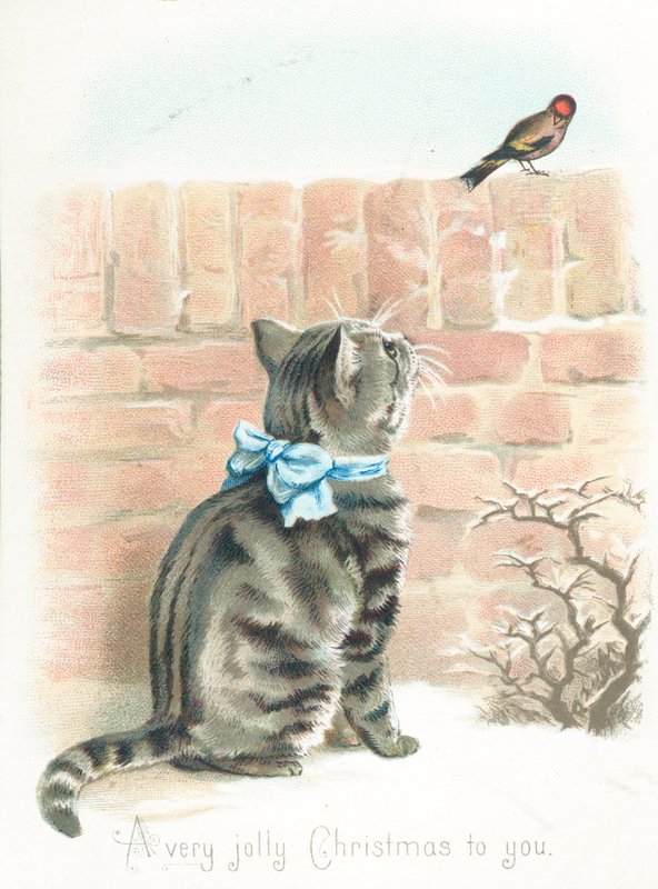 Tabby Cat katselee peippo seinällä, joulukortti tekijältä English School