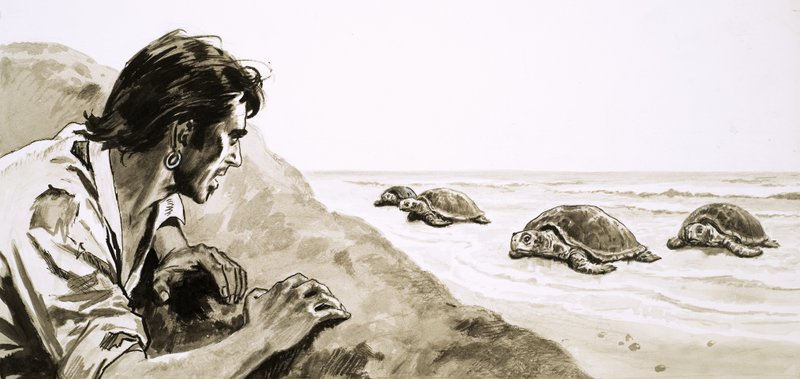 Castaways: Turtle Islandin terrori tekijältä English School