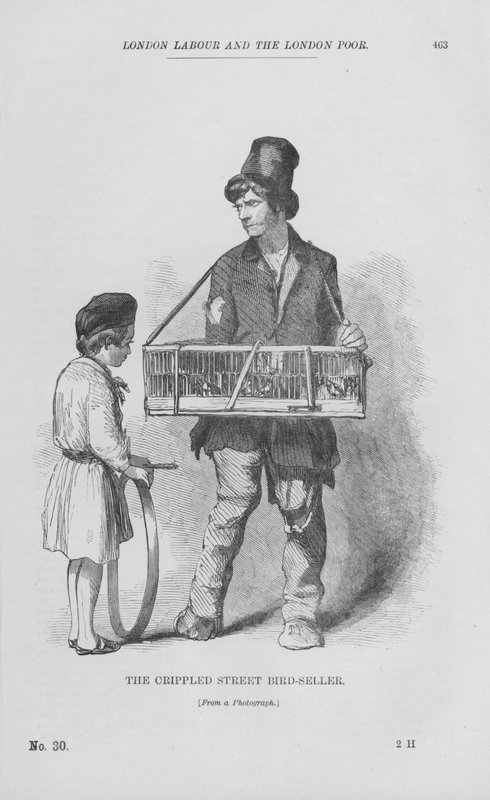 The Crippled Street Bird-Seller (kaiverrus) tekijältä English School