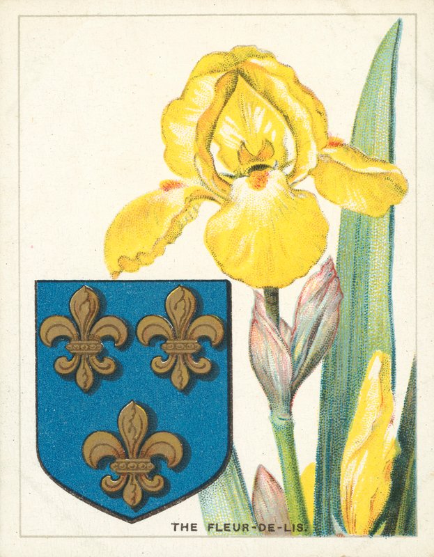 Fleur-de-lis (kromoliitti) tekijältä English School