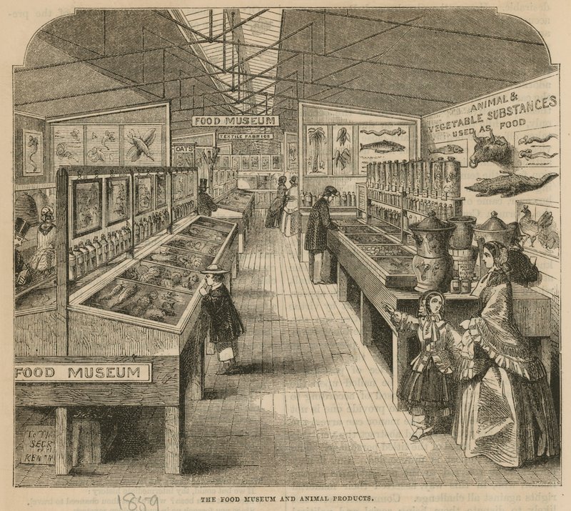 Food Museum and Animal Products, South Kensington Museum tekijältä English School