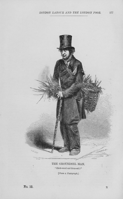 The Groundsel Man (kaiverrus) tekijältä English School