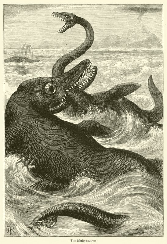 Ichthyosaurus (kaiverrus) tekijältä English School