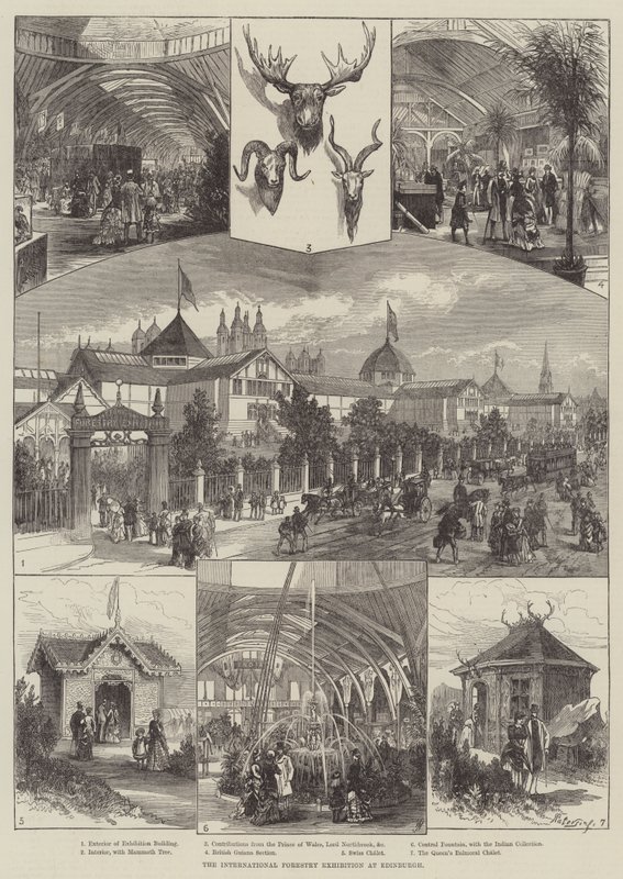 Kansainvälinen metsäalan näyttely Edinburghissa (kaiverrus) tekijältä English School